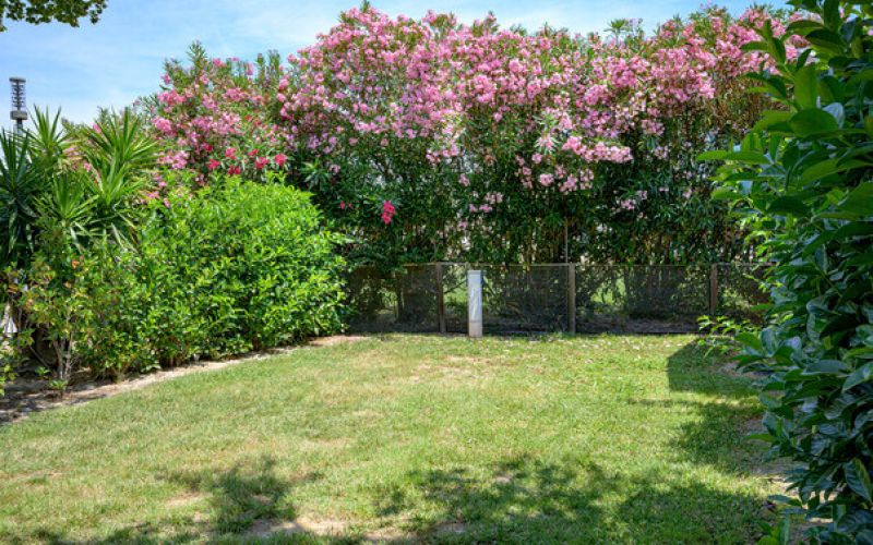 camping argeles emplacement nu