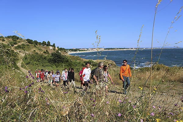 Camping Les Marsouins Ciela Village randonnées Argelès sur mer