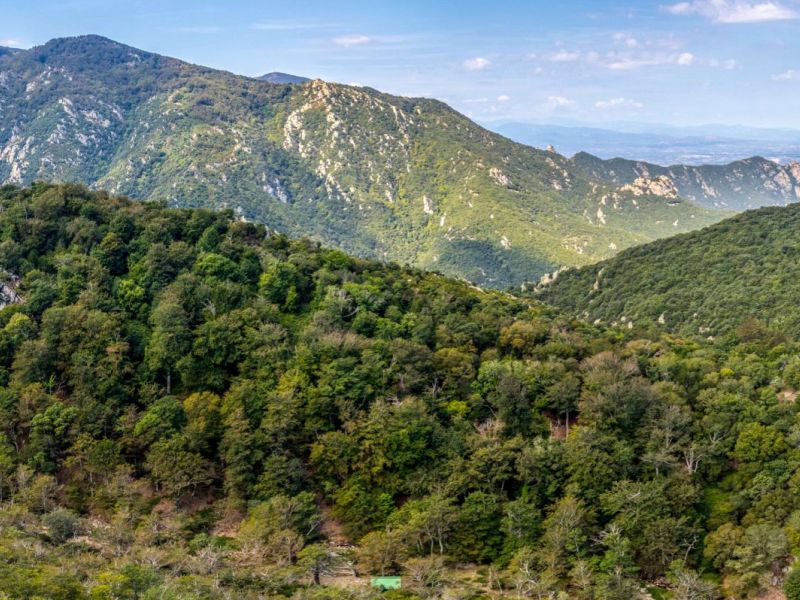 Camping Argelès-sur-Mer Ciela Village Les Marsouins Forêt de la Massane
